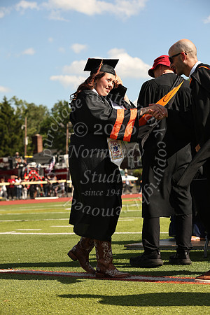 SVL_grad_37
