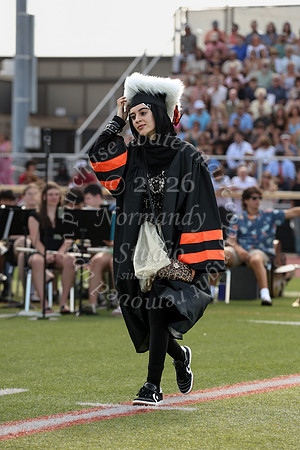 SVL_grad_13