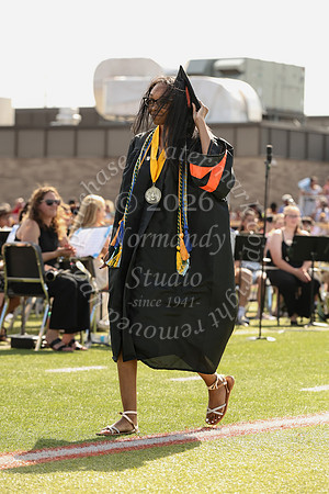 SVL_grad_31