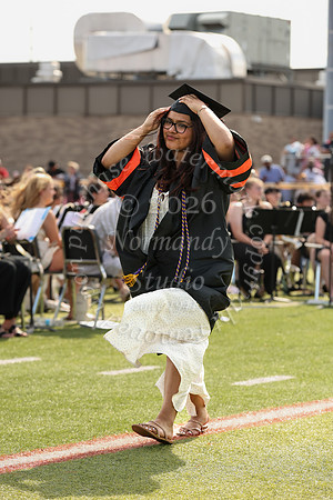 SVL_grad_60