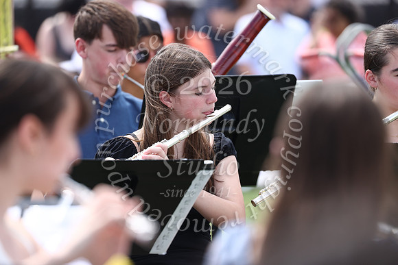 SVL_grad_16