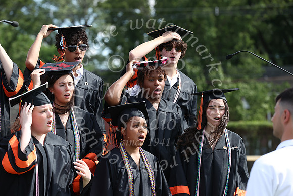 SVL_grad_31
