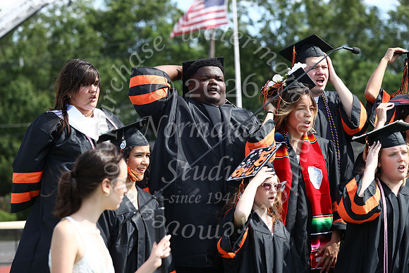 SVL_grad_33