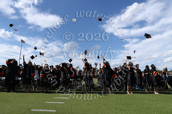 SVL_grad_38