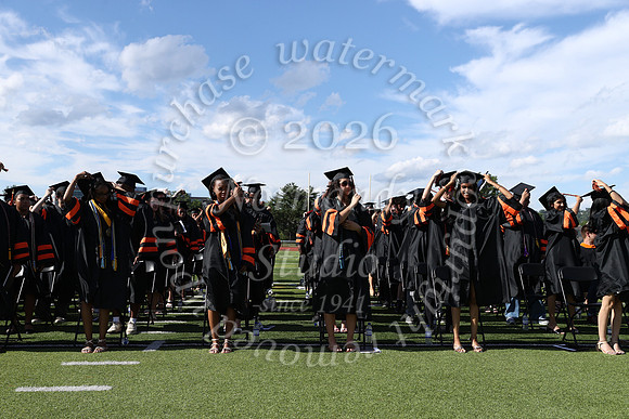 SVL_grad_37