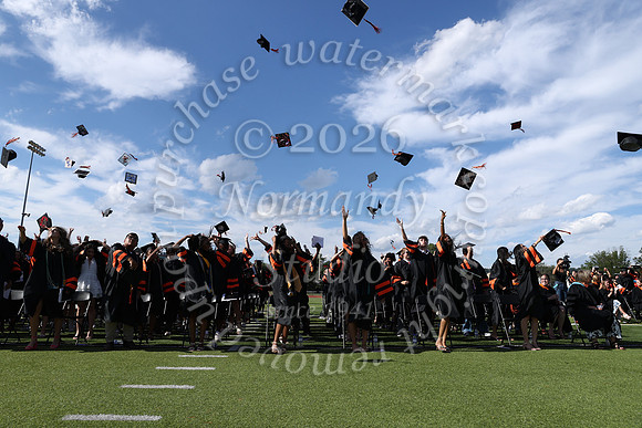 SVL_grad_39