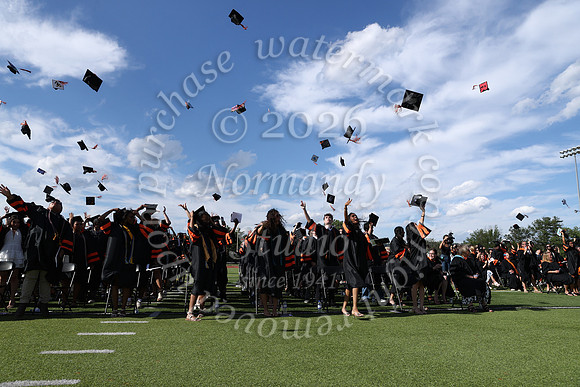 SVL_grad_40