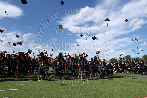 SVL_grad_41