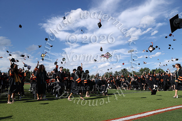 SVL_grad_42