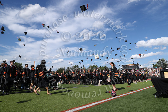 SVL_grad_43