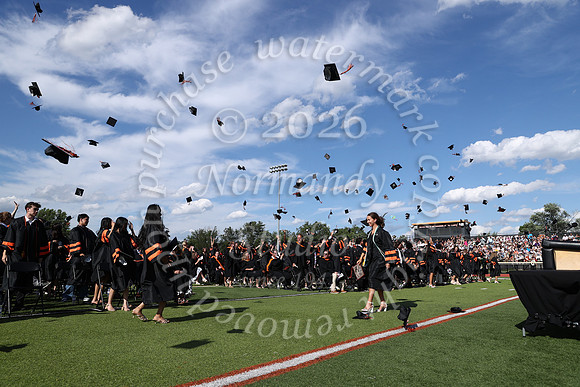 SVL_grad_44