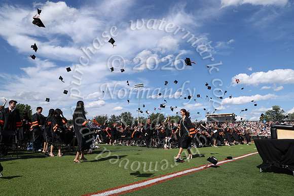 SVL_grad_45