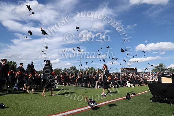 SVL_grad_46