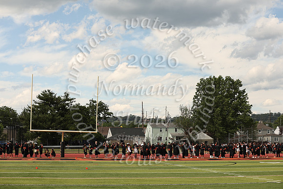 SVL_grad_48