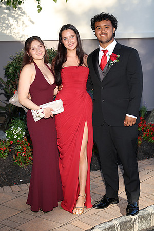 SPF_sr_prom_023