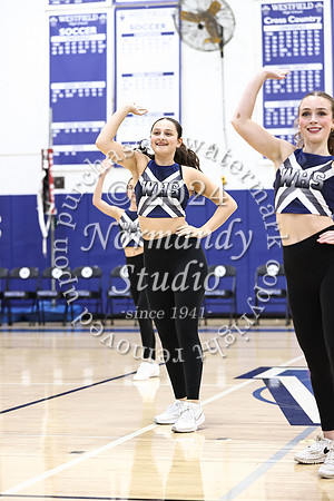 WHS_dt_046