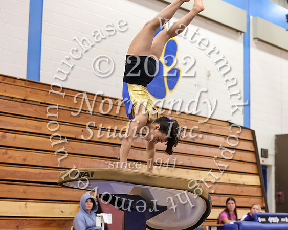 CHS_gy_17