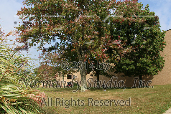 VOR_046_building
