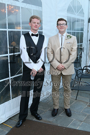 VOR_028_prom