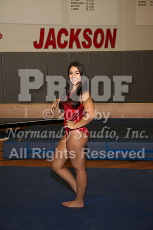 JAC_8713_gy-sr