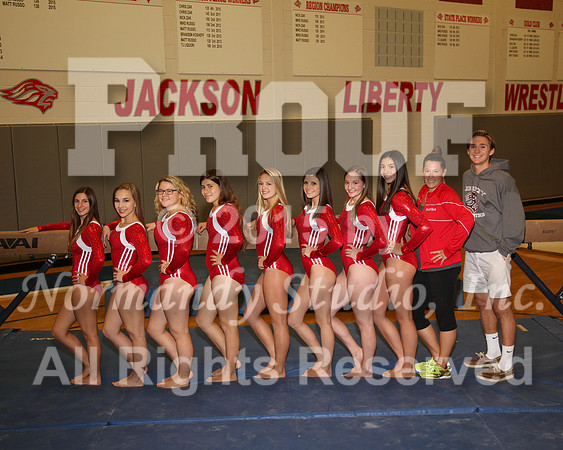 LIB_8660_gy-t