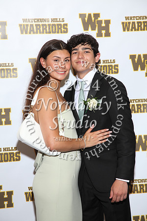 WTG_sr_prom_072