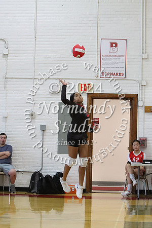 BER_vb-g_44