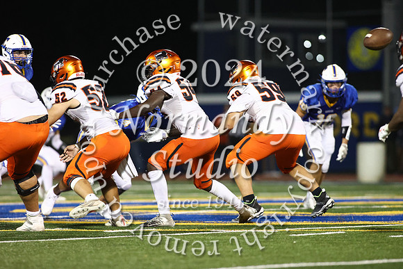 SVL_fb_30