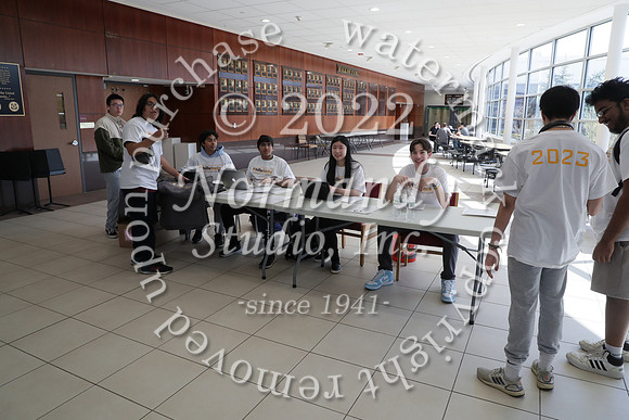 TIM_9646