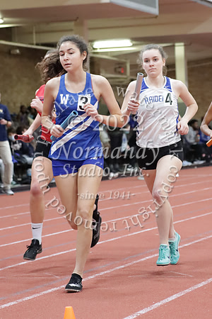 WHS_02_wt-g