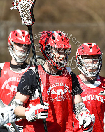 BER_lc_b_4