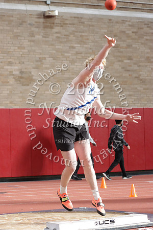 WHS_57_wt-b