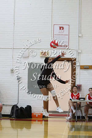 BER_vb-g_45