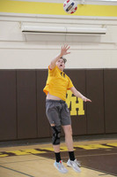 TIM_0271
