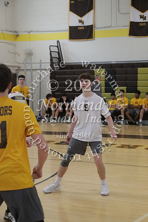 TIM_0273
