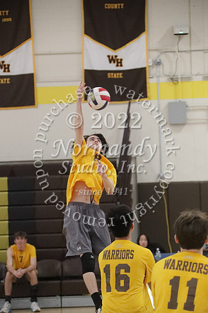 TIM_0293
