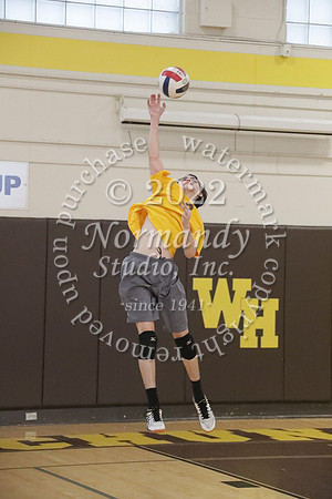 TIM_0297