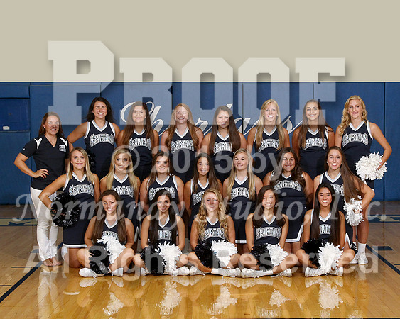 IMC cheer V team