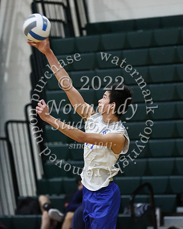SPF_vb_b_19