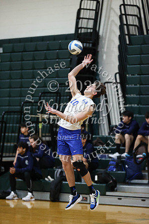 SPF_vb_b_21