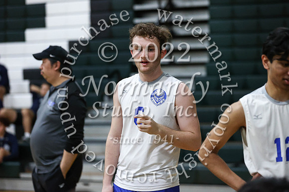 SPF_vb_b_43