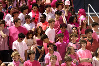 SVL_fans_11