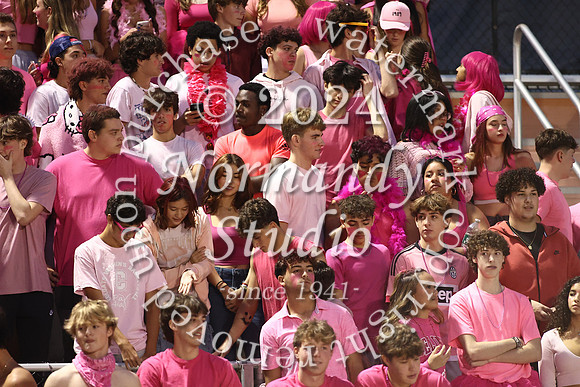 SVL_fans_11