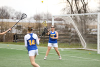CHS_lc_g_011