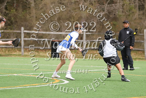 CHS_lc_g_046