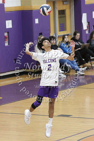 MON_vb-b_51