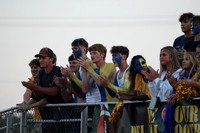 DVH_fans_04