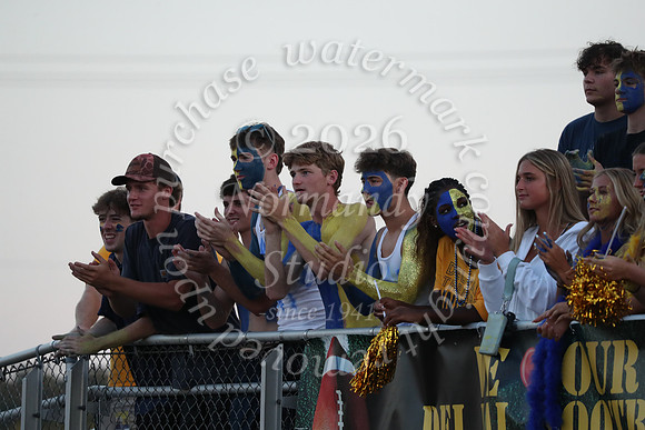 DVH_fans_04