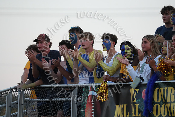 DVH_fans_03