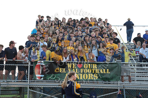 DVH_fans_06